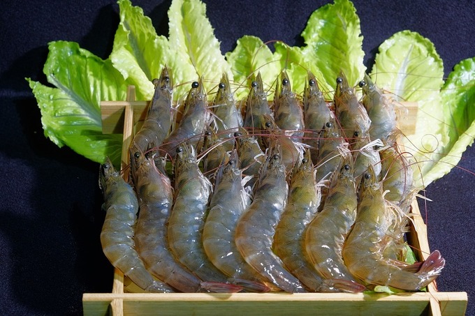 //ngocxuangiang.superweb.xyz/files/images/tin-tuc/premium-shrimp-1155982-960-720-6508-1608802556.jpg