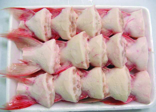 Frozen Pangasius Fin