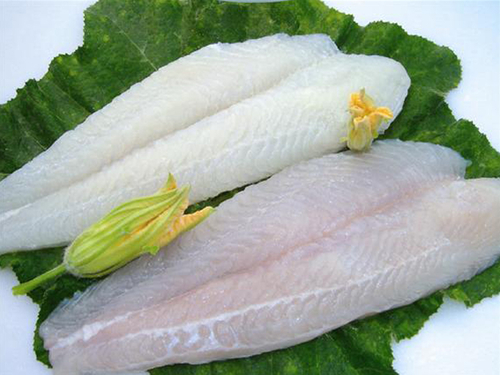 Frozen Pangasius Fillets